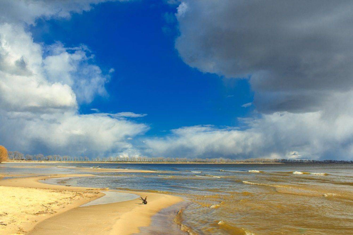 , Александр Войтенко