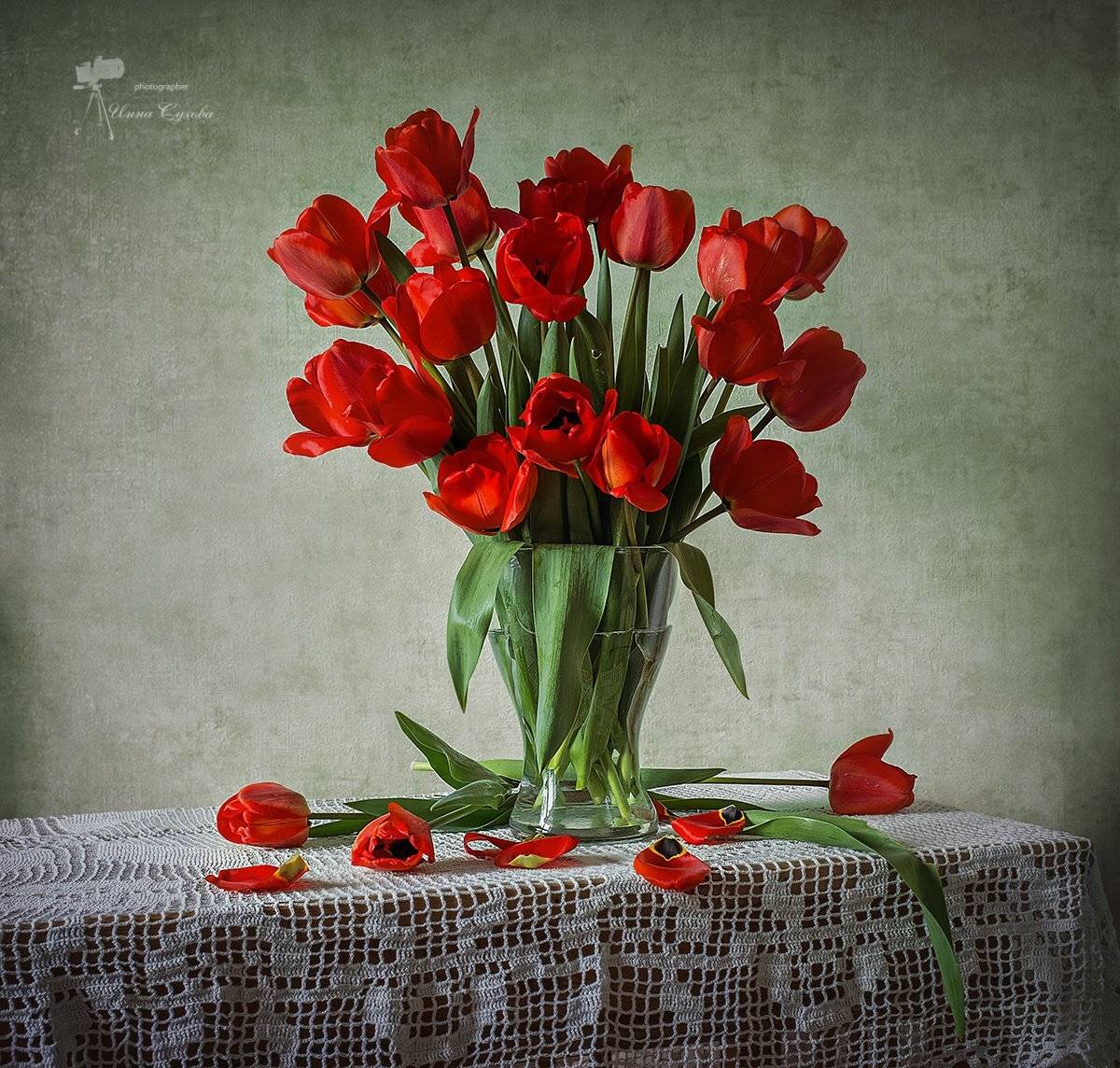 , Инна Сухова