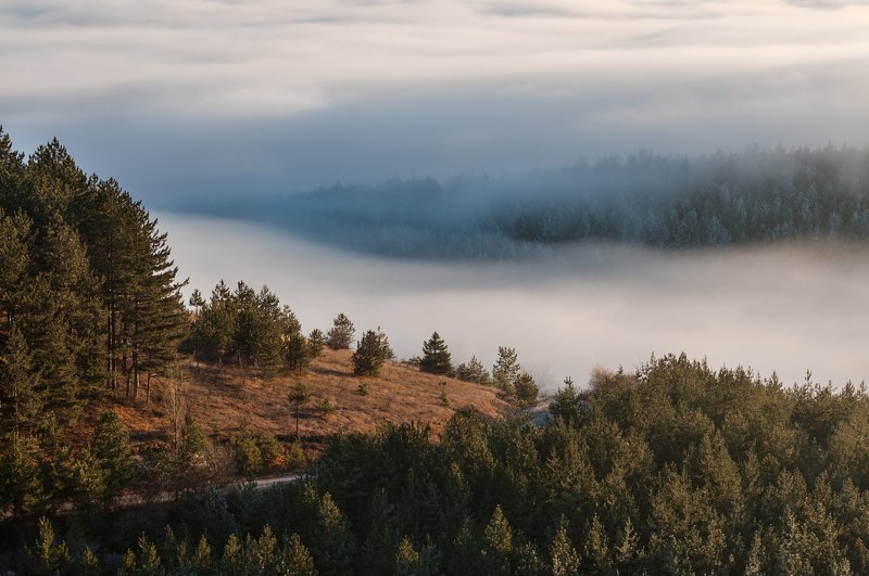 sunset, landscape, mountain, fog, forest, nature, mist Sunset фото превью
