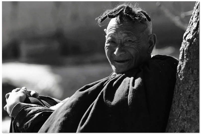 portraiture portraiture фото превью