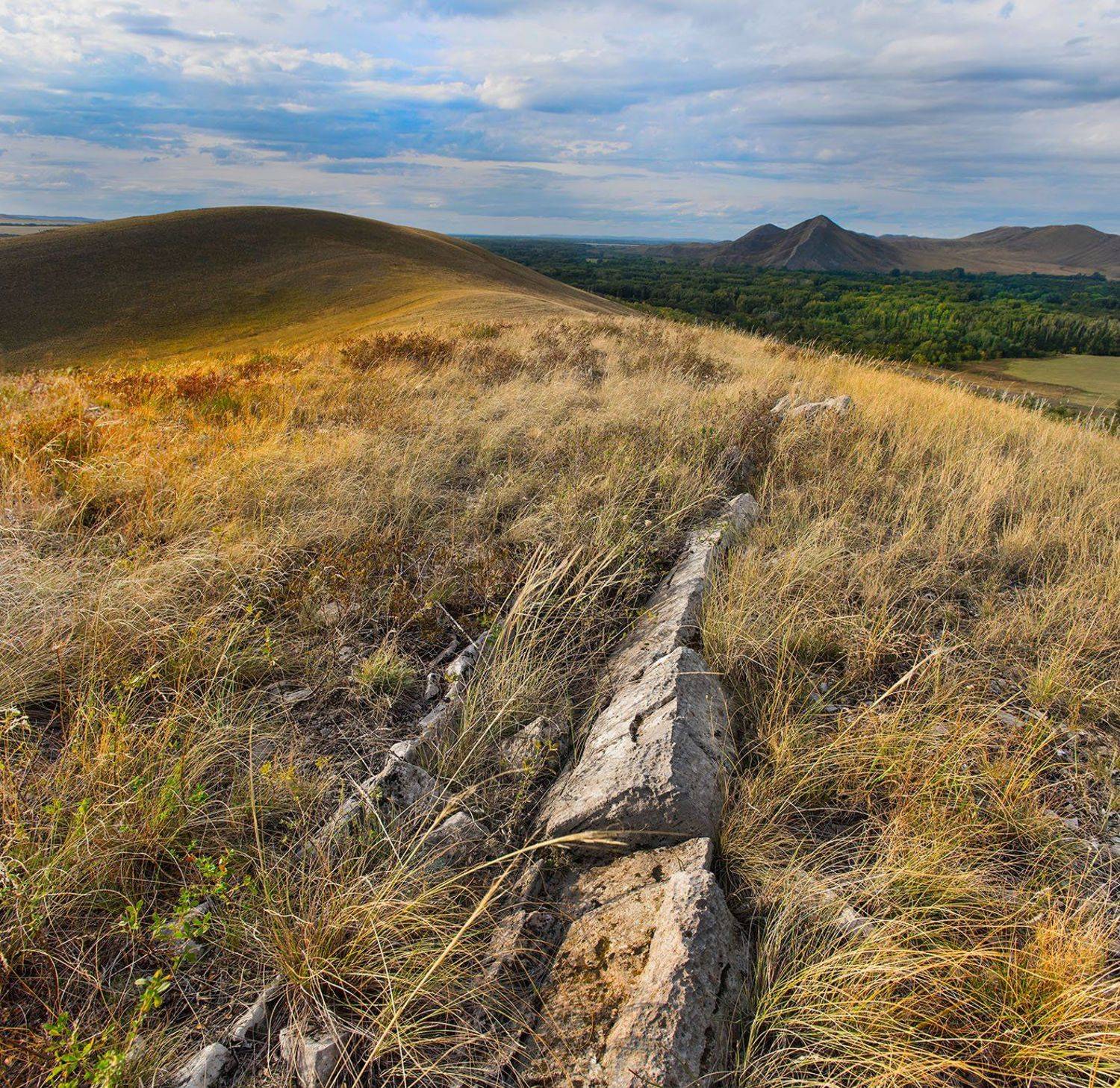 , Орлов Михаил