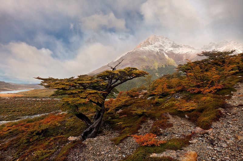 sv-phototravel.com Осень в Патагонии фото превью