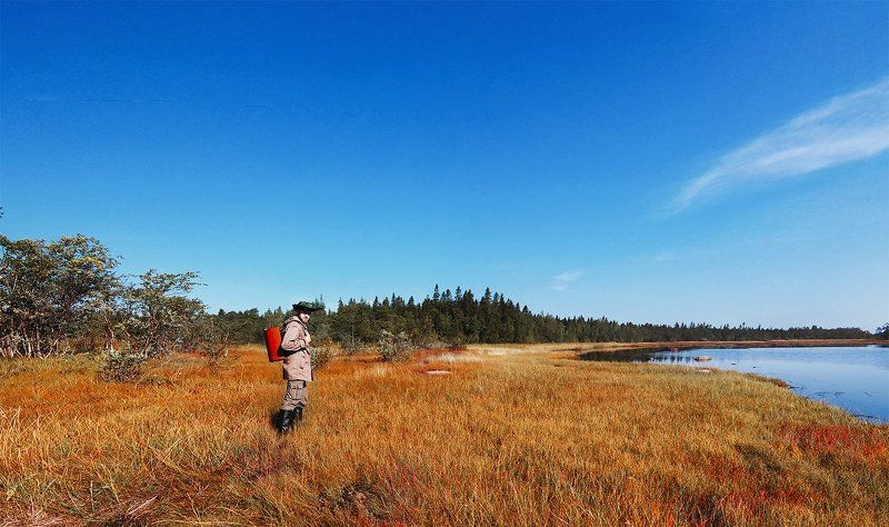 #nature #sky #sun #summer #beach #beautiful #pretty #sunset #sunrise #blue #flowers #night #tree #twilight #clouds #beauty #light #cloudporn #photooftheday #love #green #skylovers #dusk #weather #day #red #iphonesia #mothernature summer walking фото превью