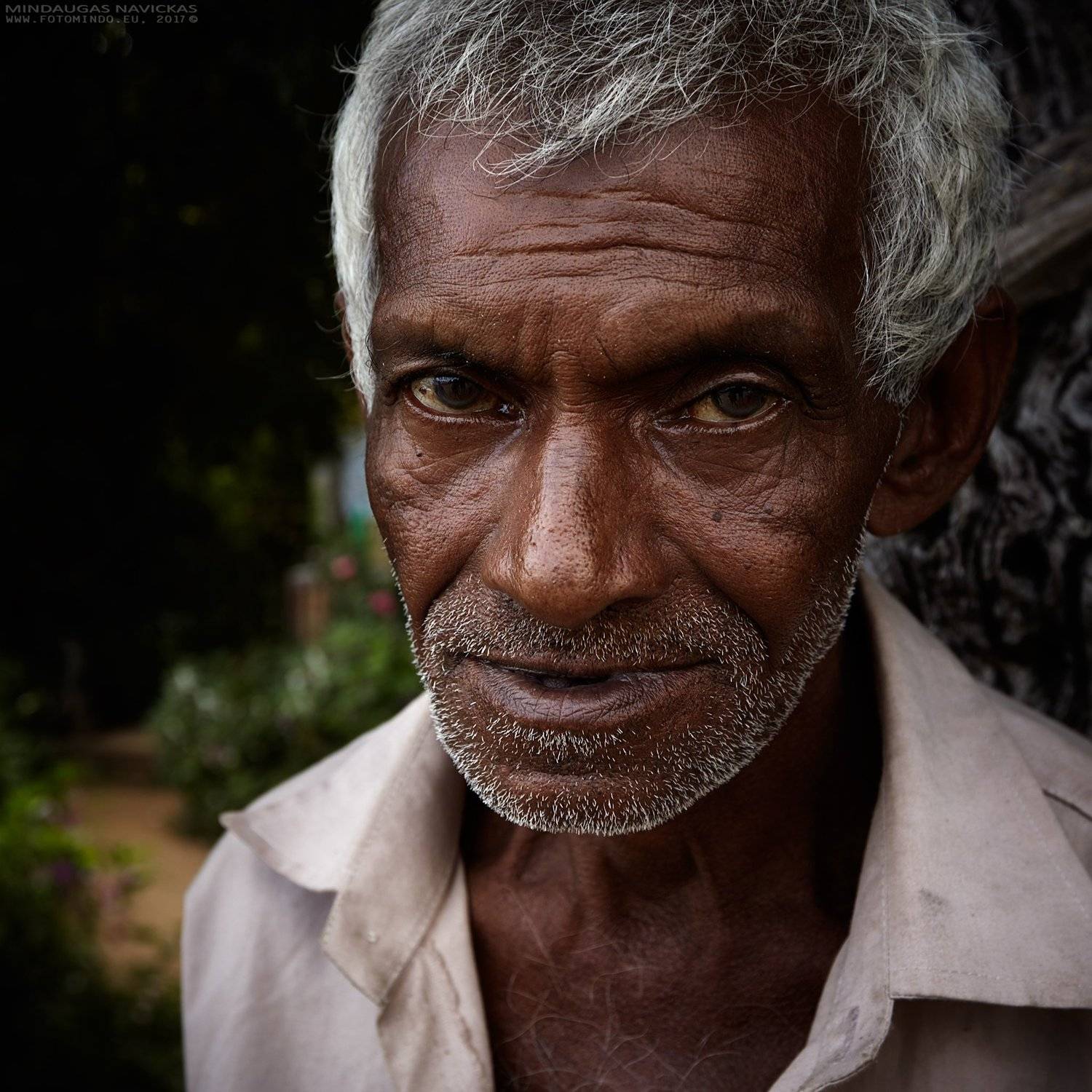 , Mindaugas Navickas