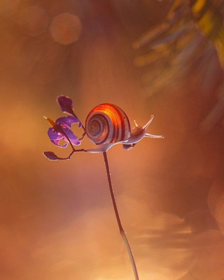 , Pawel Plucinski