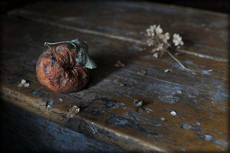 Всё тлен, и миг, и суета... фото превью