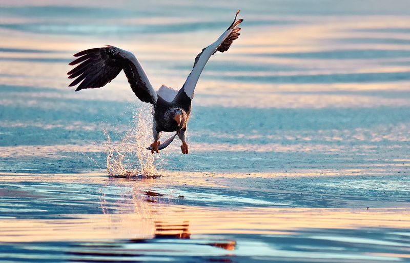 Beauty of  Moment фото превью
