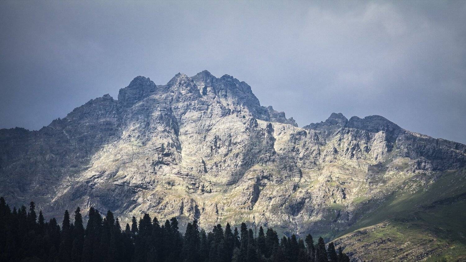 , Юрий Пужалин