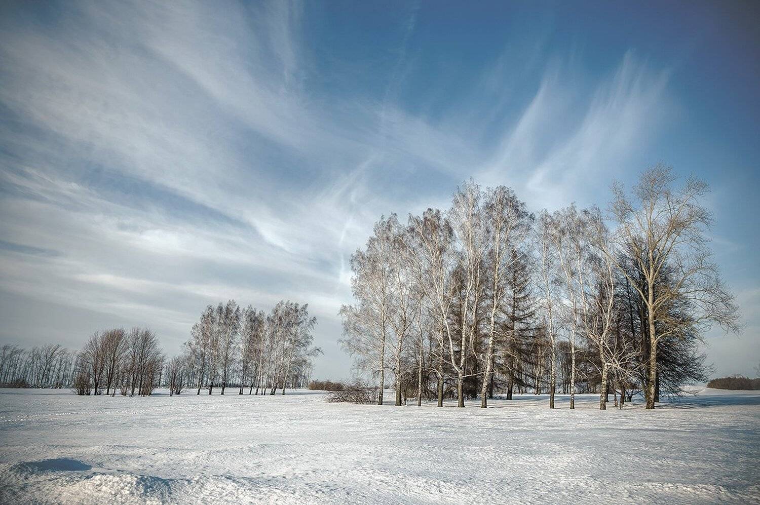 , Анатолий Зверев