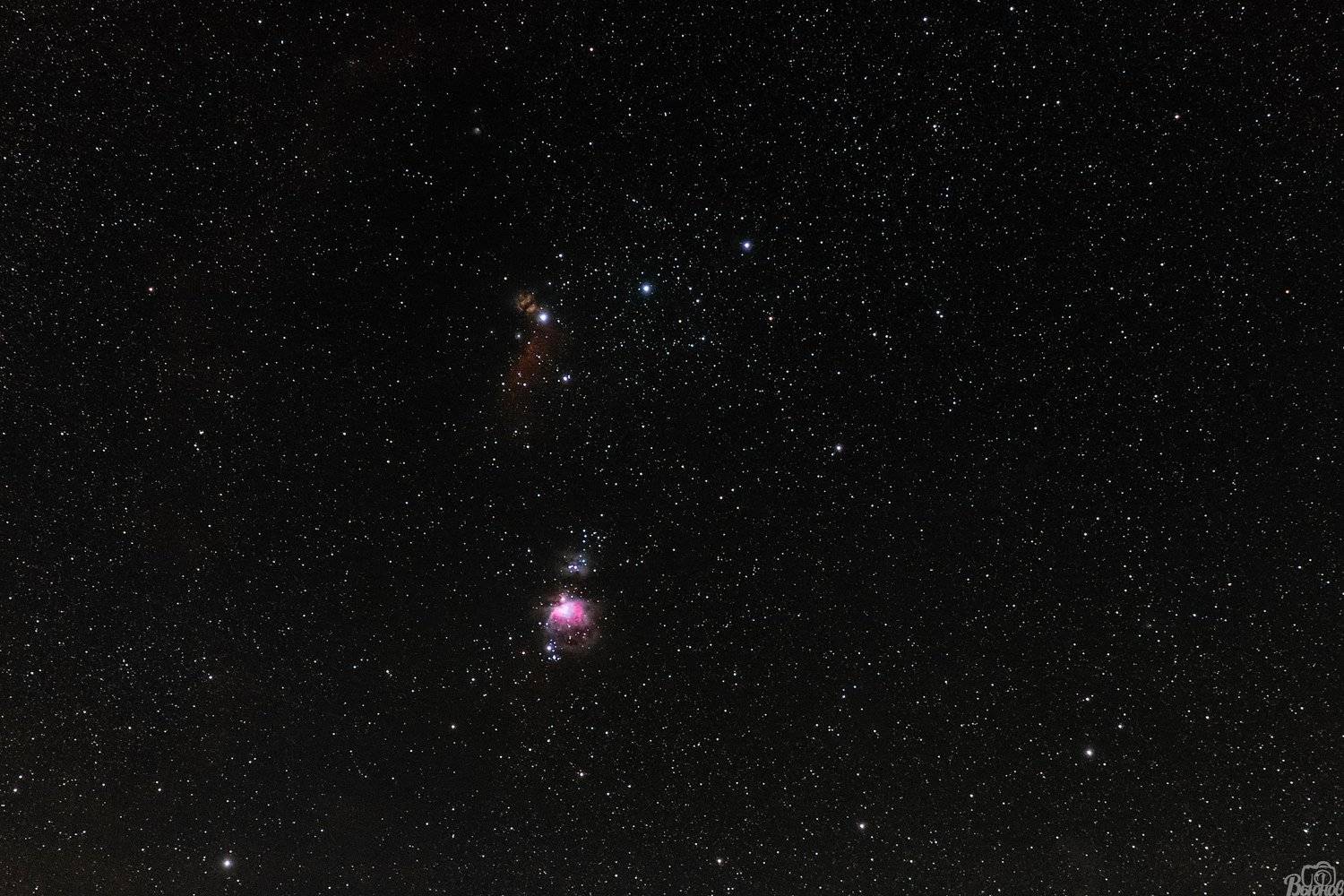 орион,созвездие,космос,звезды,туманность, Сергей Вьюнов