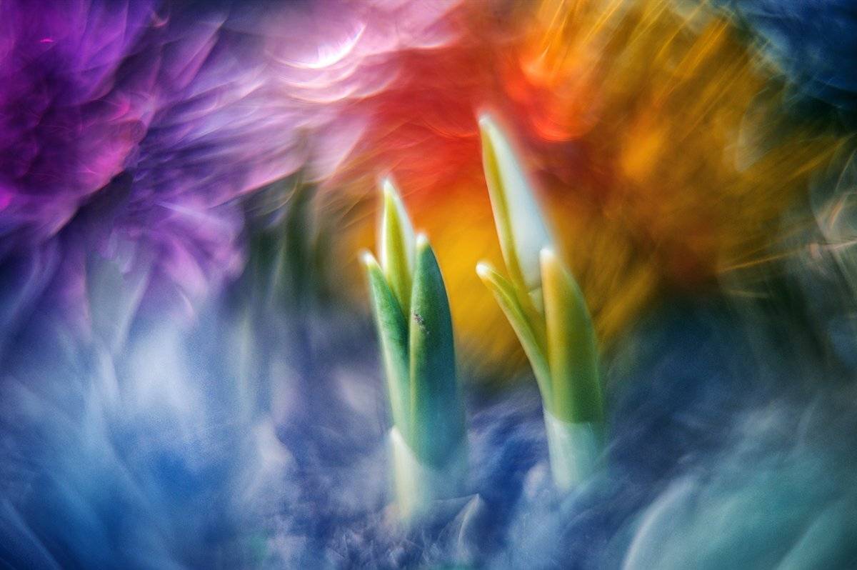 , Татьяна Аверина