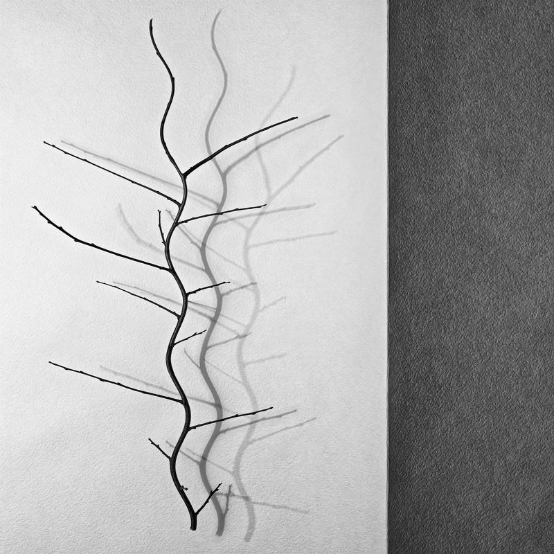 Episode: Tawi фото превью