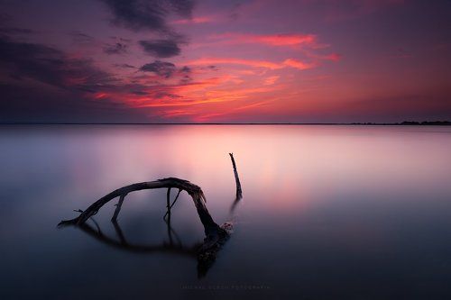 Colors of evening