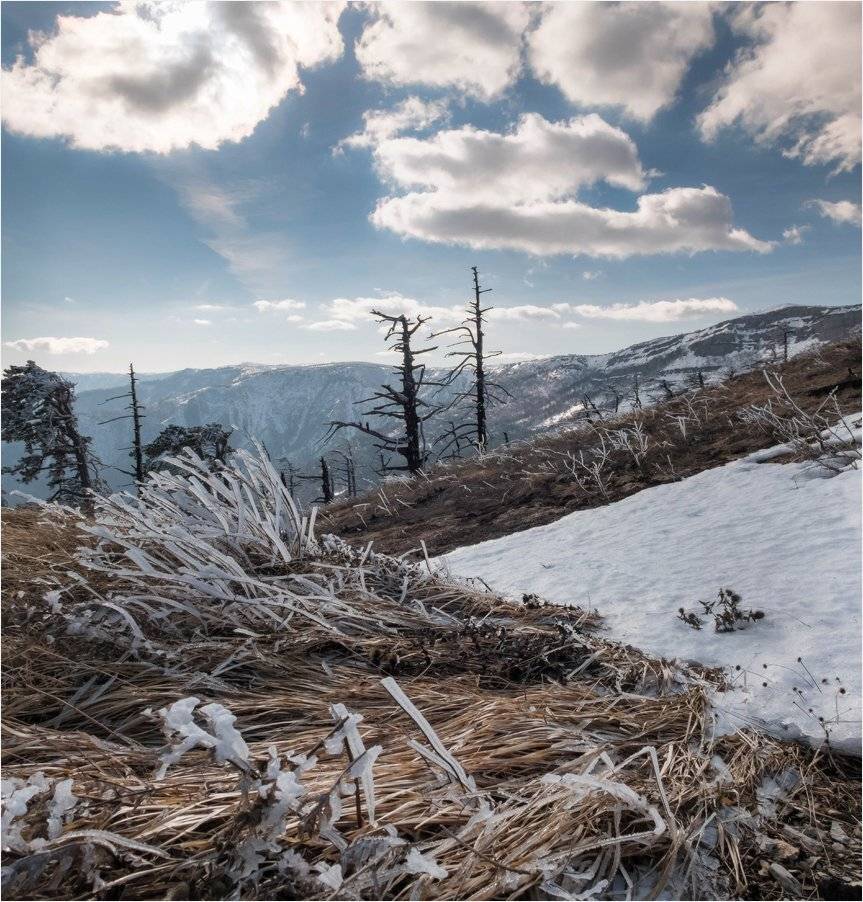 , Михаил Гапонов