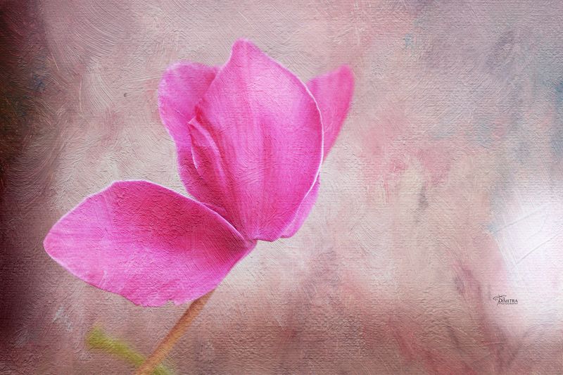 The soul feelings фото превью