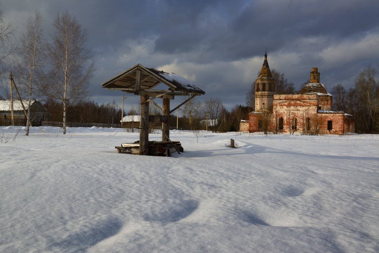 , Максим Евдокимов ( www.wildphotorus.ru )
