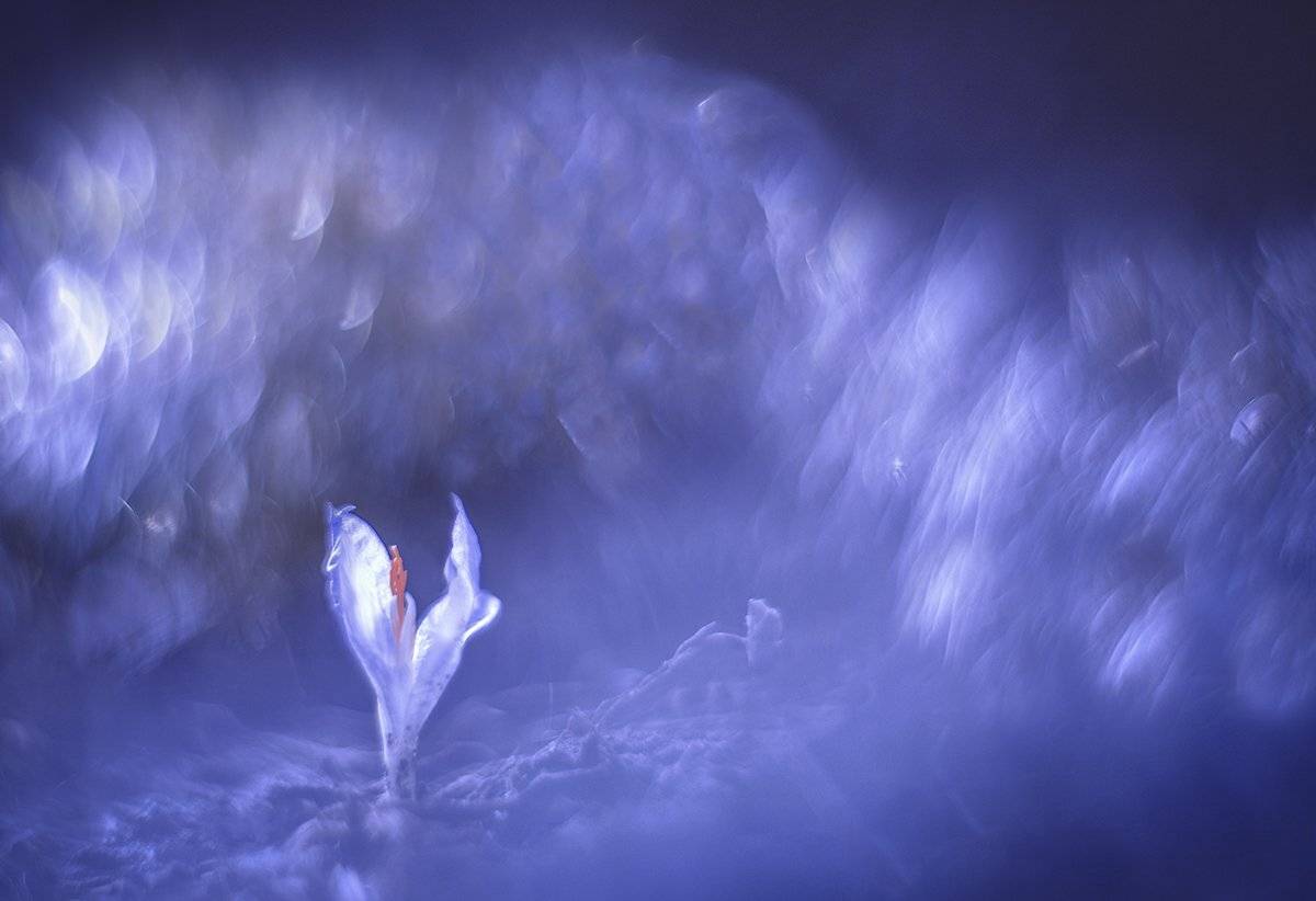 , Татьяна Аверина