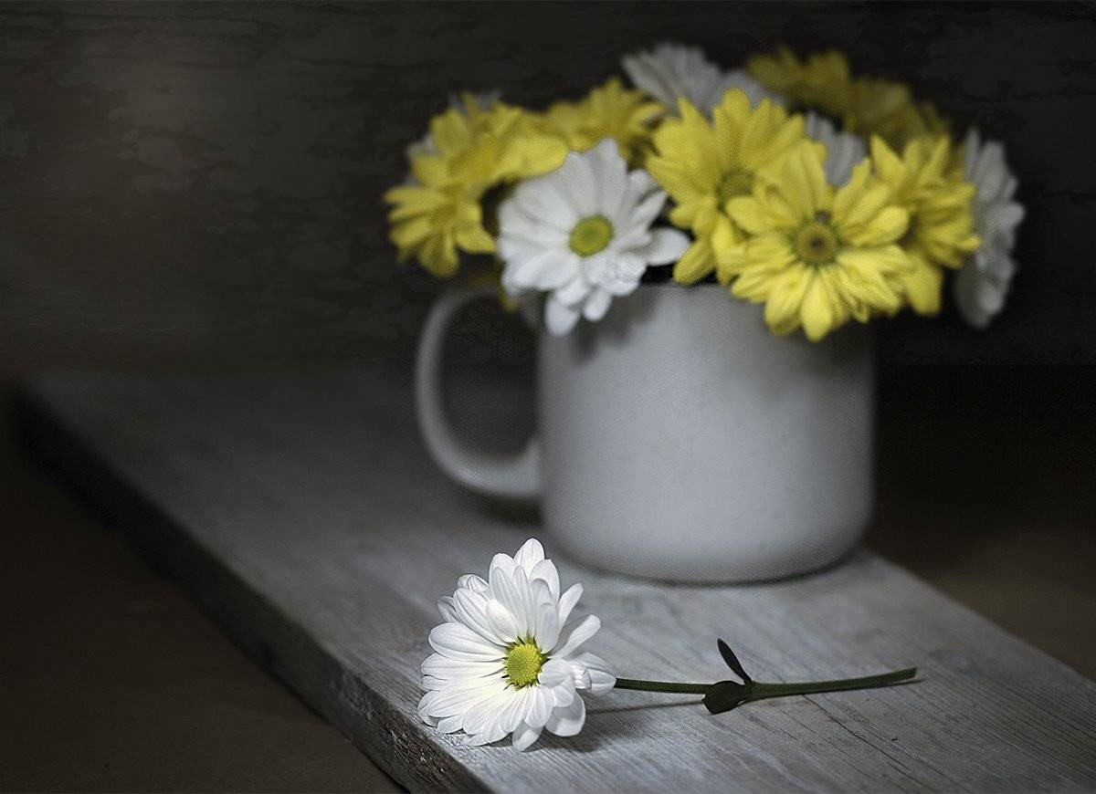 , Наталья Бочкарева