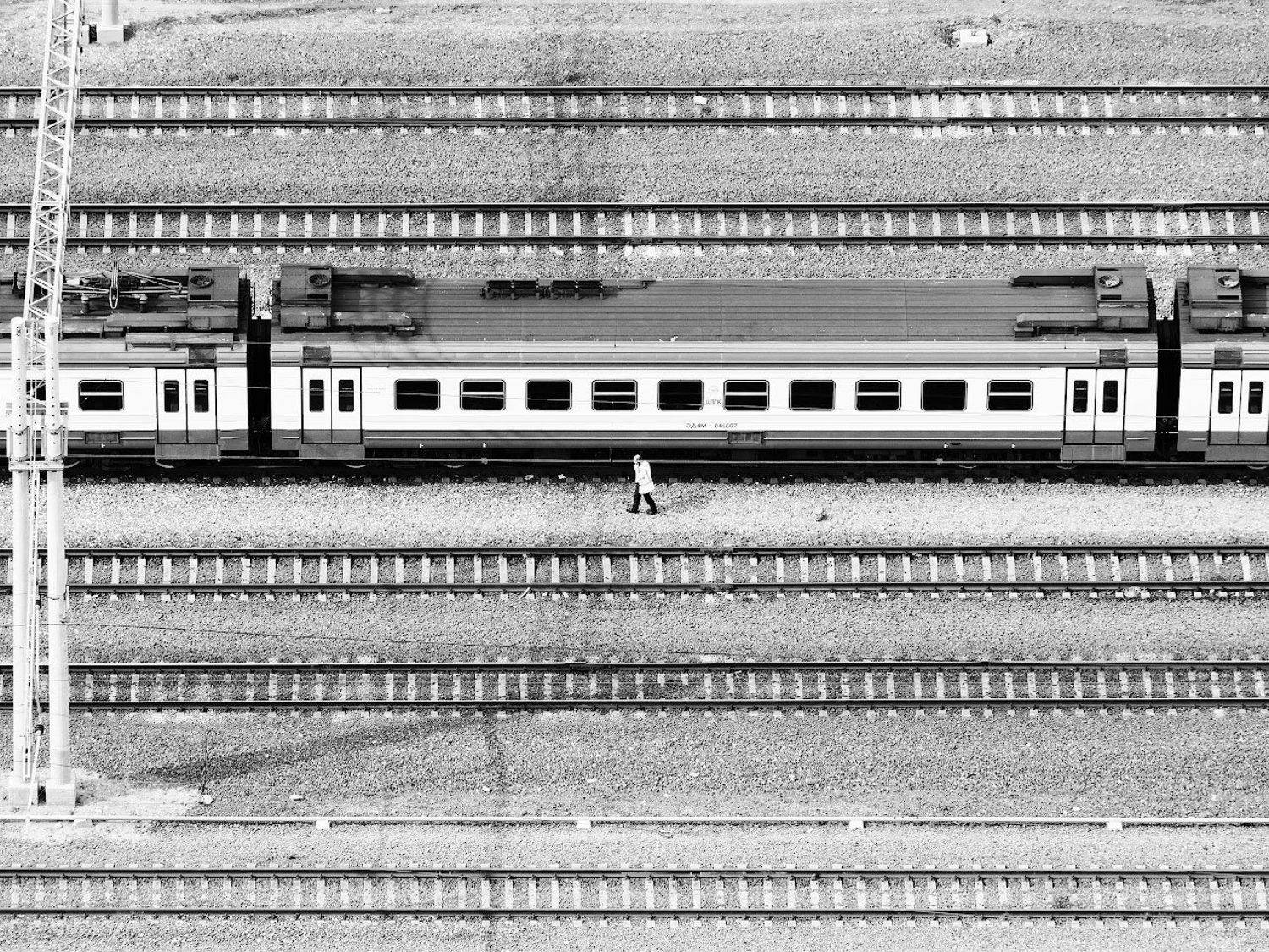 , Лунный Ежик