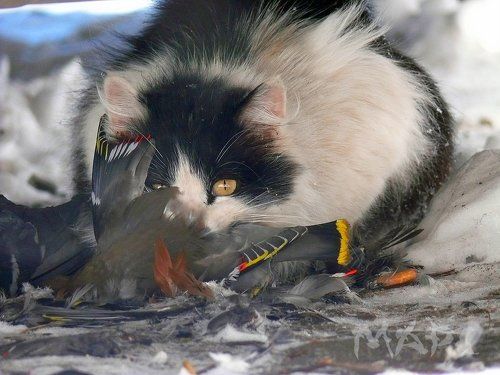 Такова жизнь...