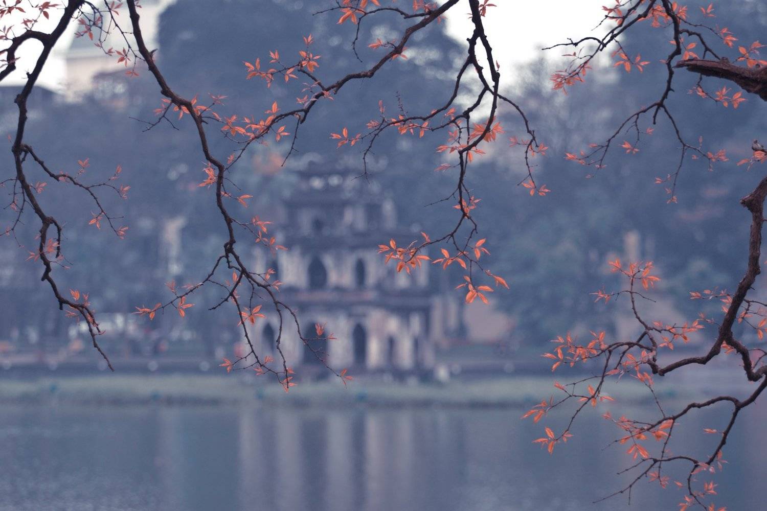 , Ho&agrave;ng Thuy&ecirc;n