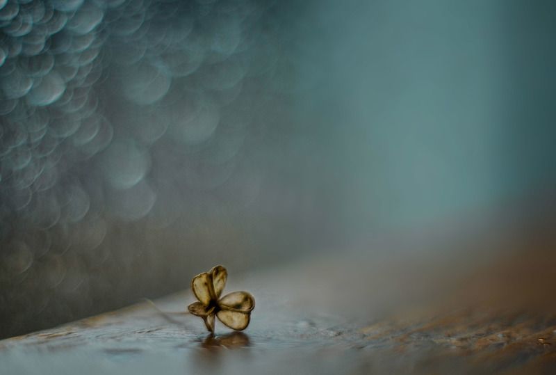 Одиночество фото превью