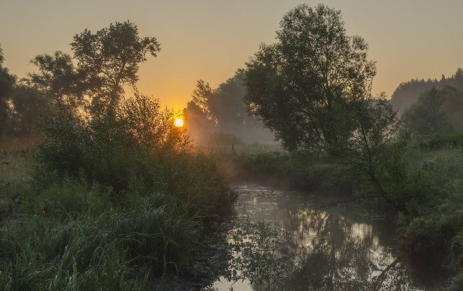 , Сергей Добровольский