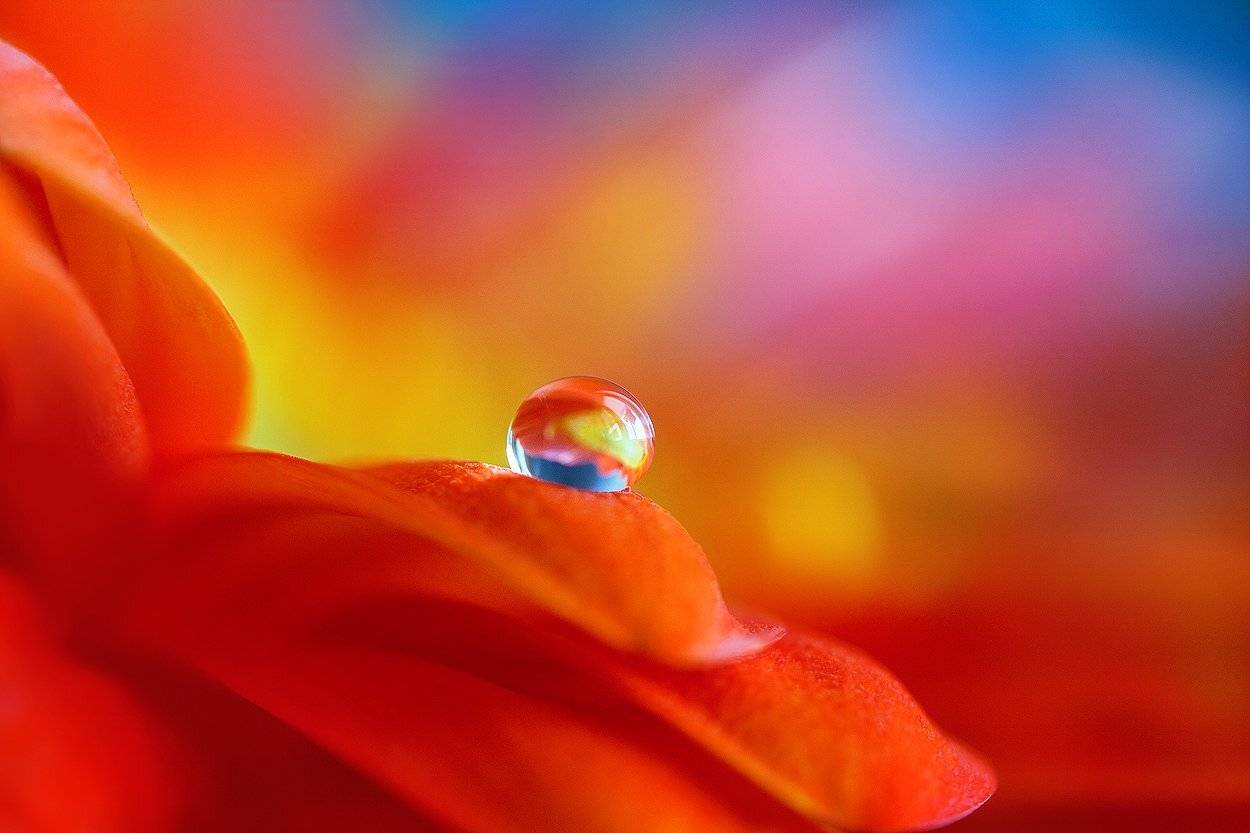 , Кабыжакова Валерия