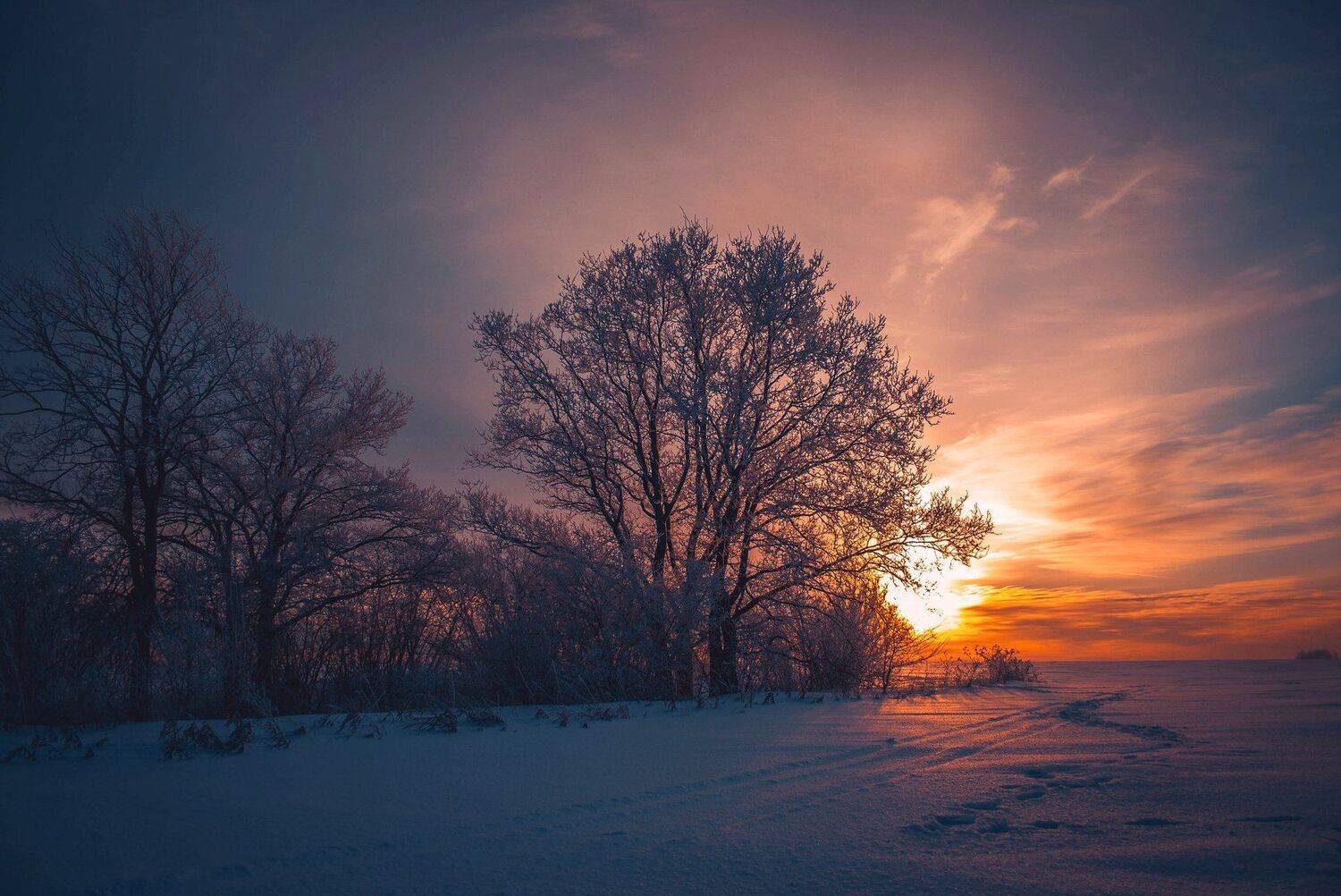 фото, природа, пейзаж, лес, закат, мороз, Екатерина