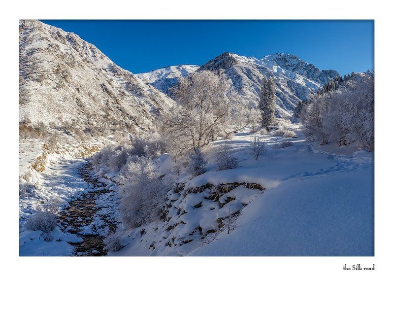 Тянь-Шань, Заилийский Алатау прогулка в Большой Алматинской щели фото превью