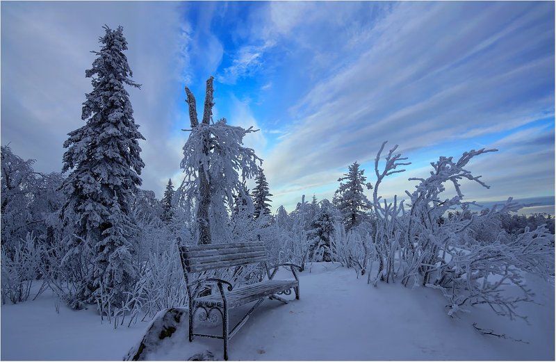 зима снег деревья скамейка Таёжный комфорт... фото превью