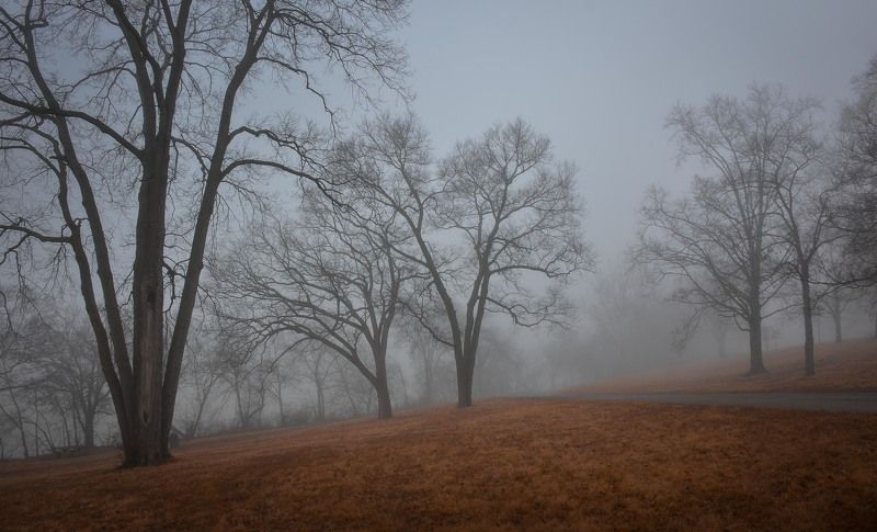 Утречком в парке фото превью