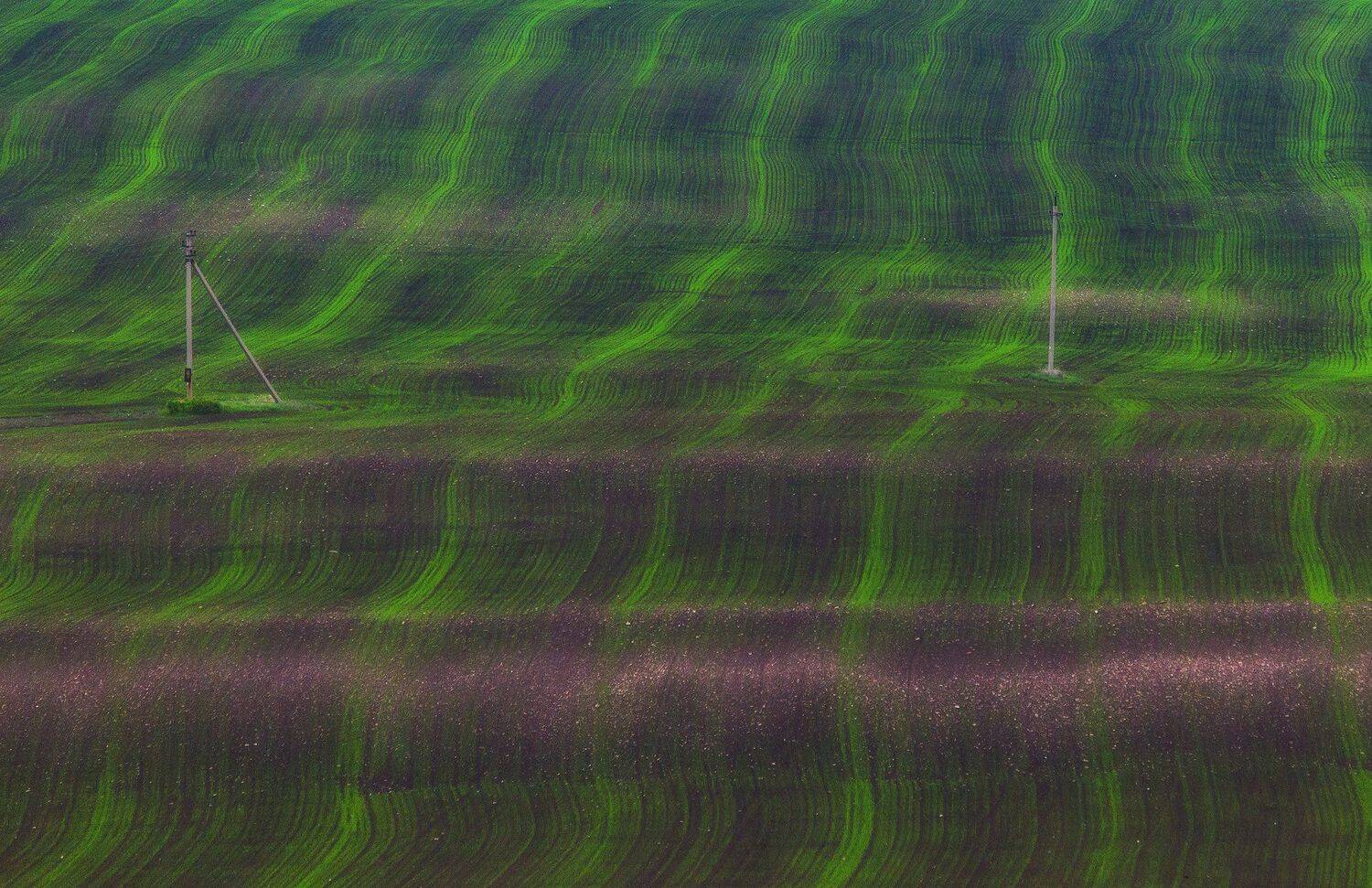 , Павел Сагайдак