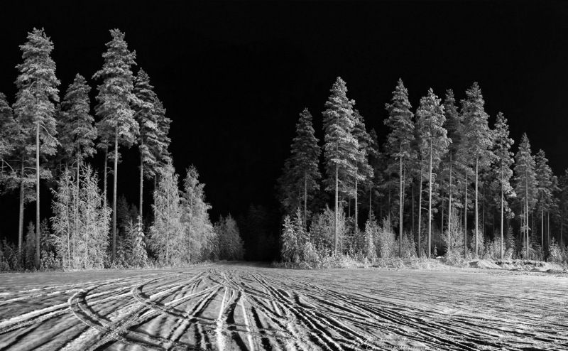 winter, snow, forest, trees, paysage, finland, night, black and white, road, trace, Ночной дозор фото превью