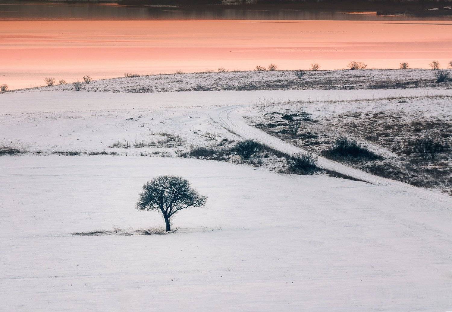 , Иван Димов