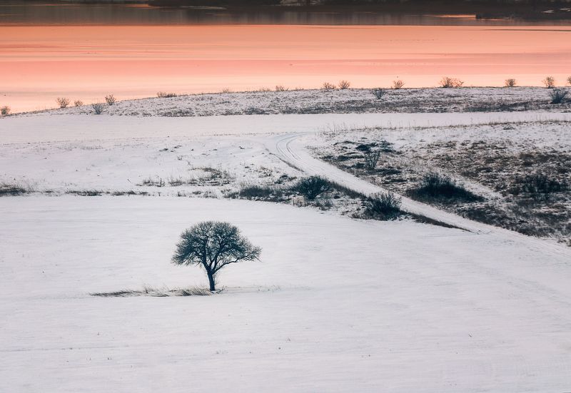 Loneliness фото превью