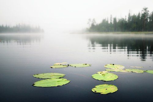 На реке Охте, ночь