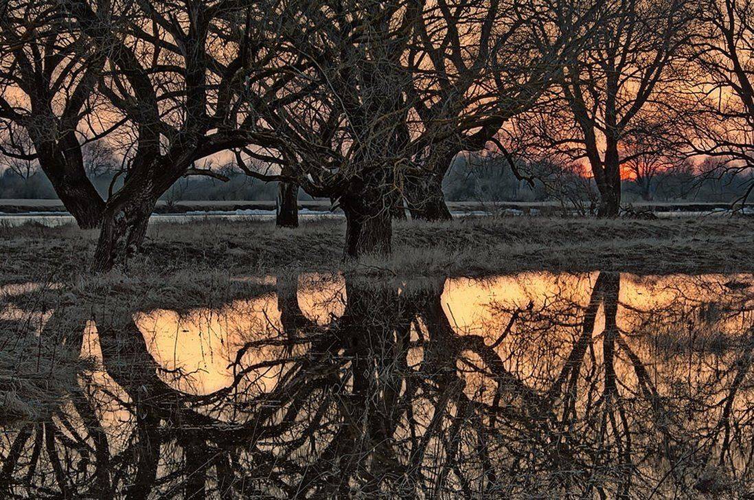 , Валерий Кондратов