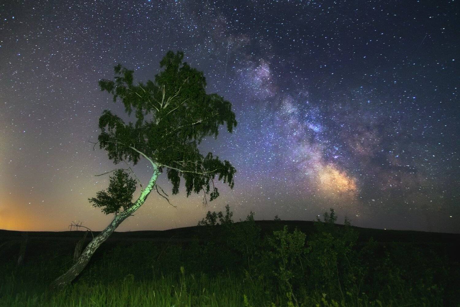, Павел Сагайдак