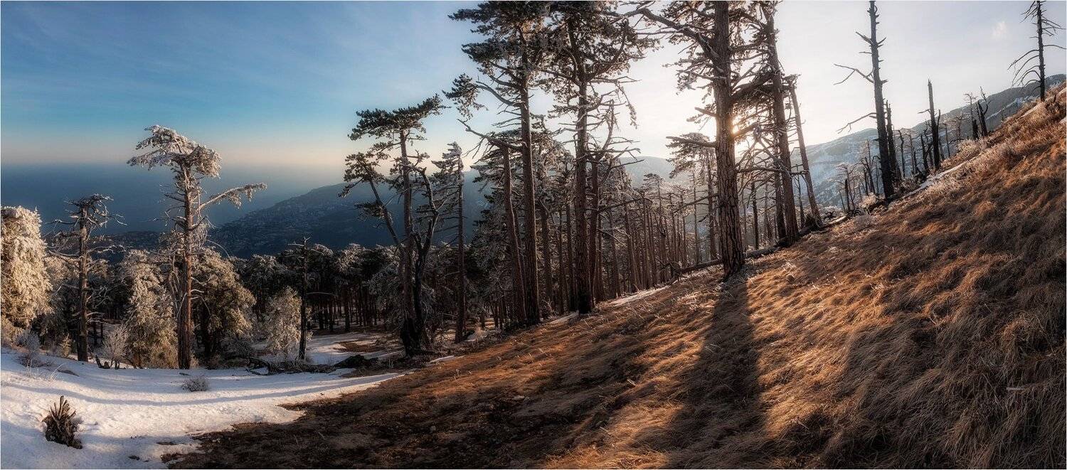 , Михаил Гапонов