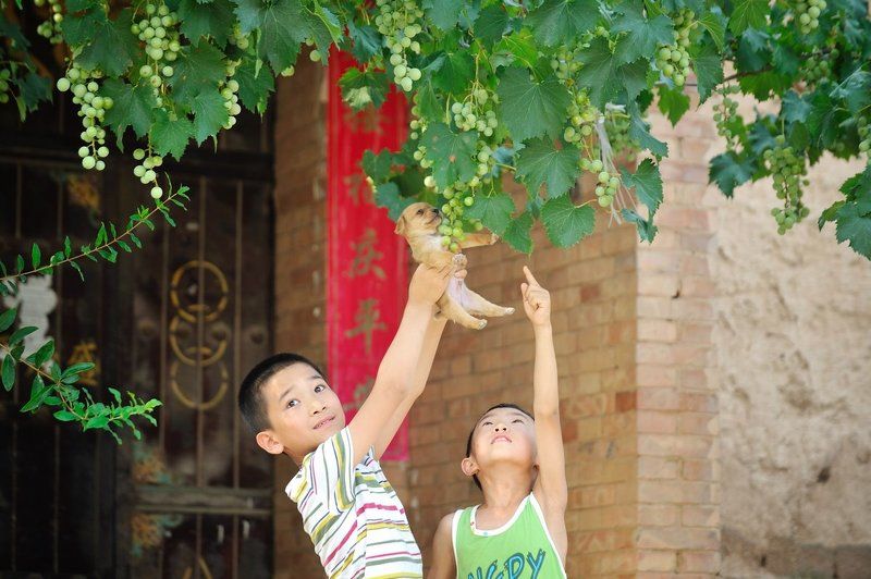 фото превью