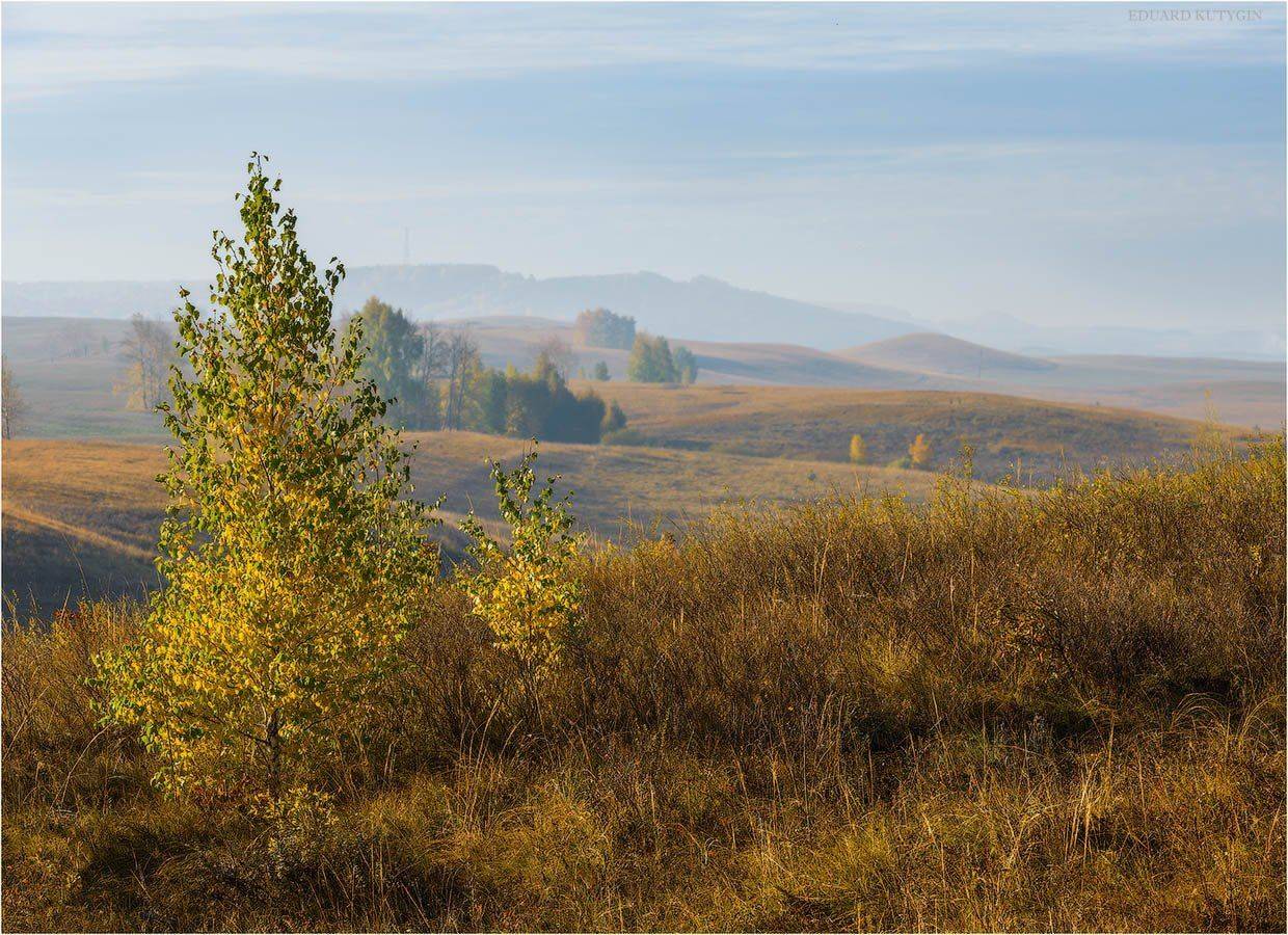 , Кутыгин Эдуард
