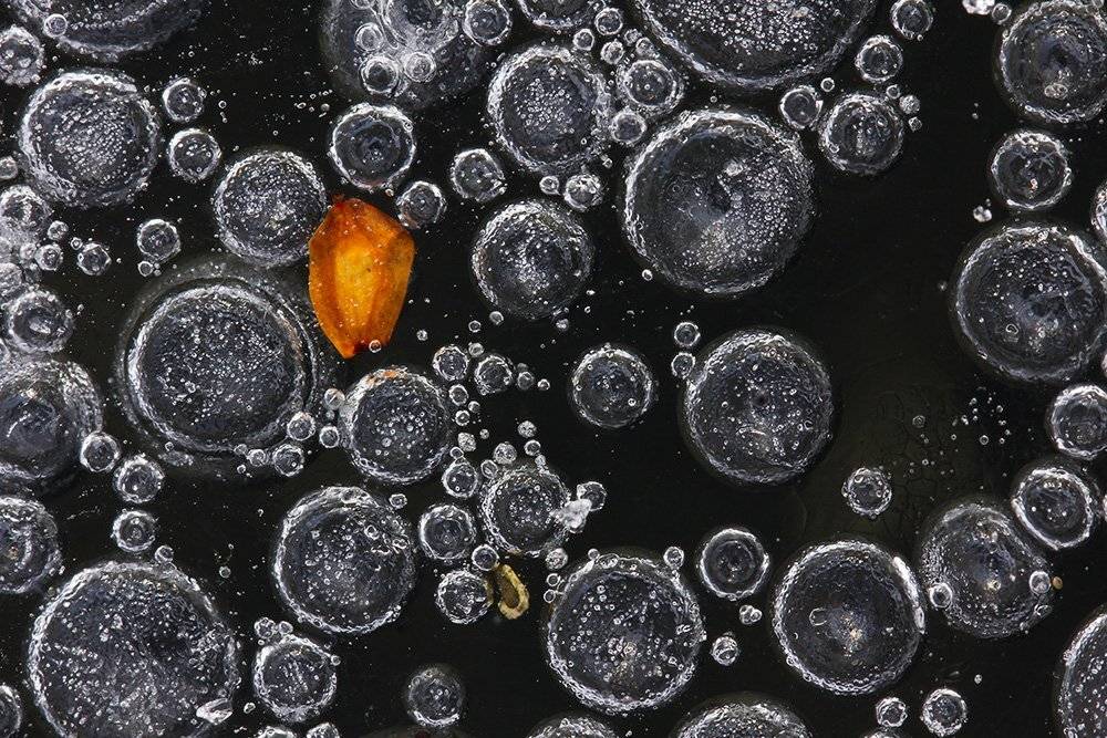 , Иваненко Светлана