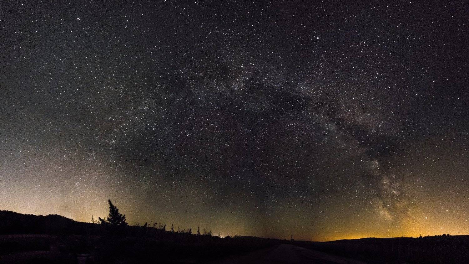 ceclii,macro,lgg4, Tsvetan Ganev