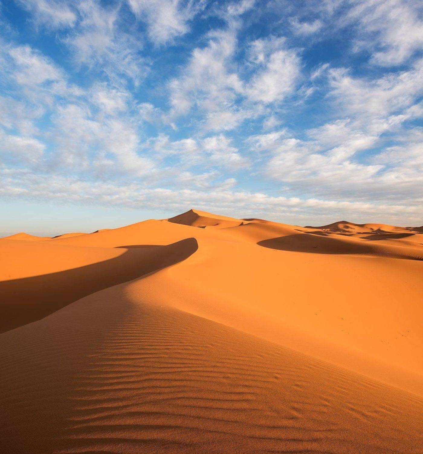 , Сергей Ершов