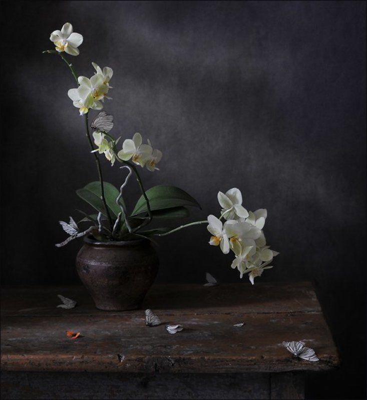 натюрморт,орхидеи, фаленопсис ,бабочки , боярышницы \