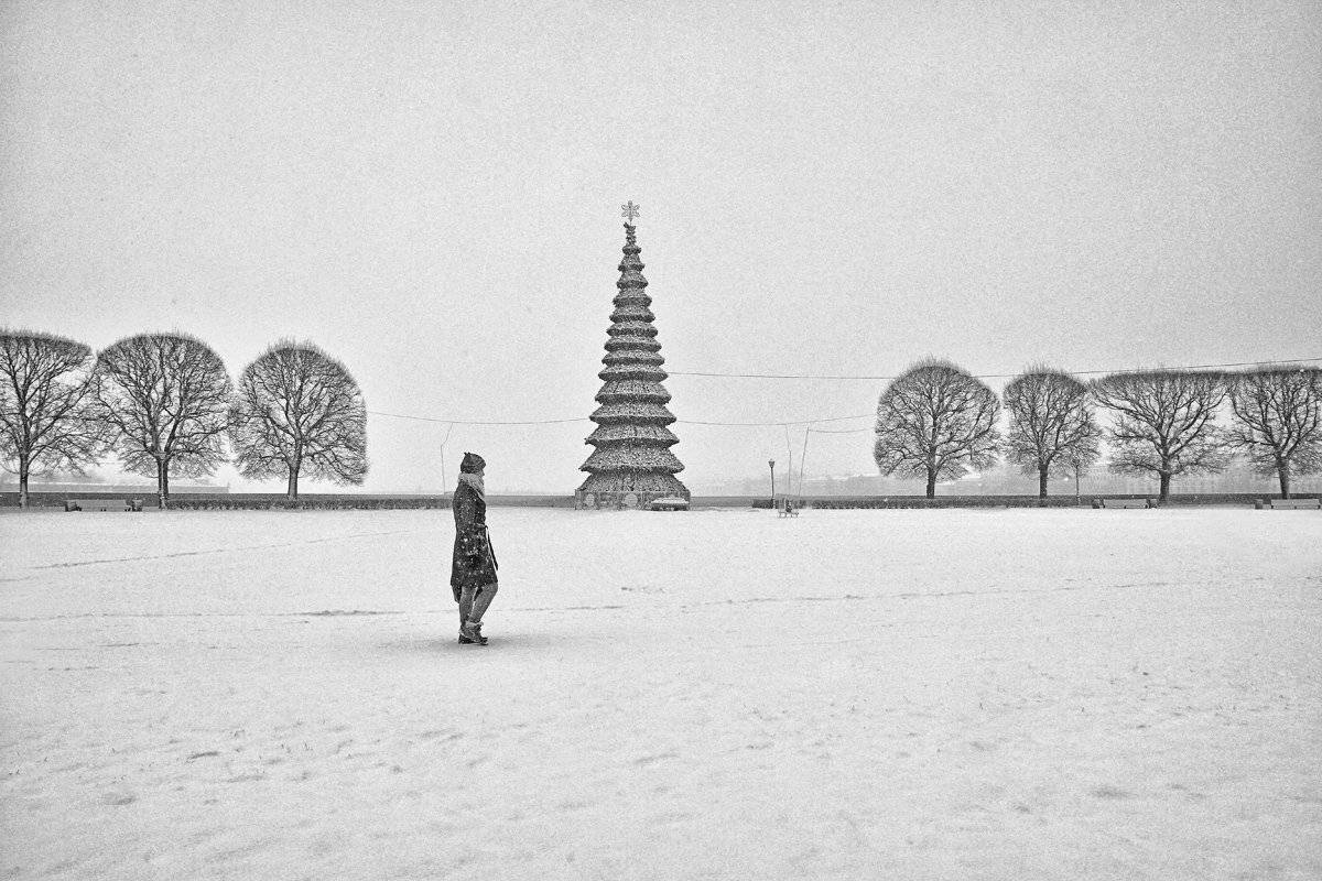 , Елена Лаврова