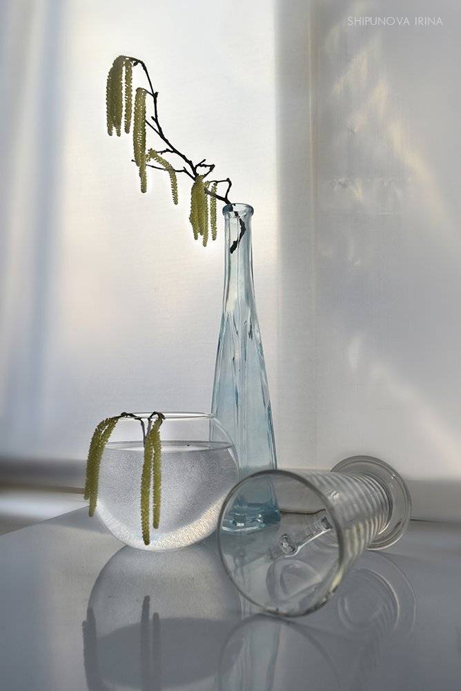 ольховые серёжки стекло весна, Шипунова Ирина