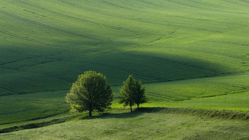 . . . фото превью