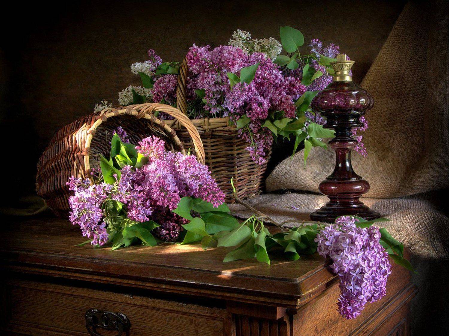 сергей алексеев, натюрморт, сирень, Сергей Алексеев